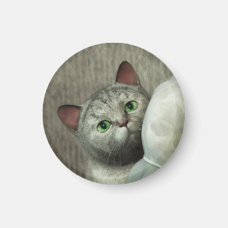 グレー猫のマグネット マグネット