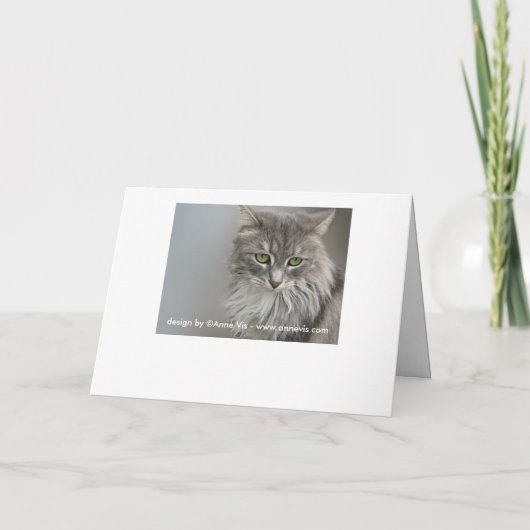 グレー猫悔やみや弔慰グリーティングカード カード (裏面)