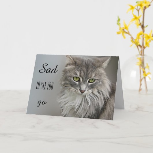 グレー猫悔やみや弔慰グリーティングカード カード (黄色い花)