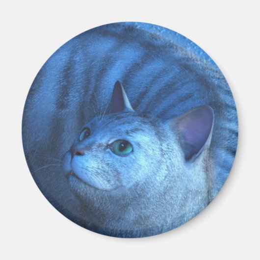 グレー猫4 マグネット (正面)