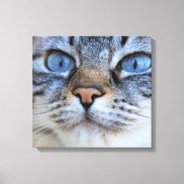 グレー猫 キャンバスプリント
