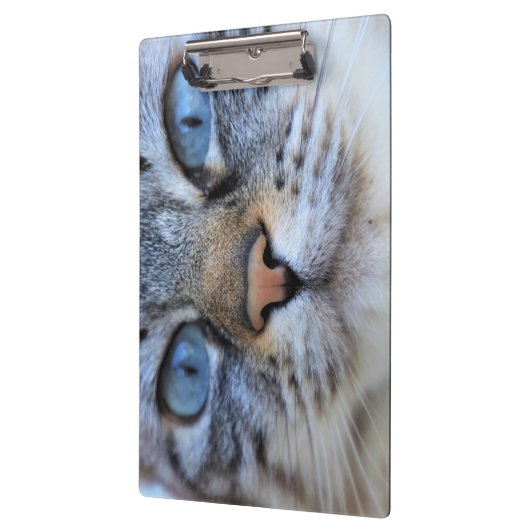 グレー猫 クリップボード (左)