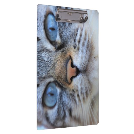 グレー猫 クリップボード (右)