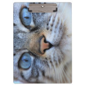 グレー猫 クリップボード (正面)