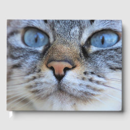 グレー猫 ゲストブック