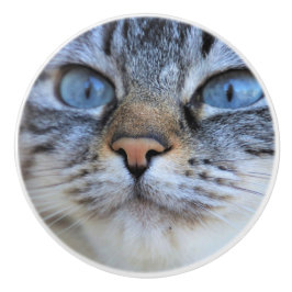 グレー猫 セラミックノブ