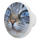 グレー猫 セラミックノブ (右)