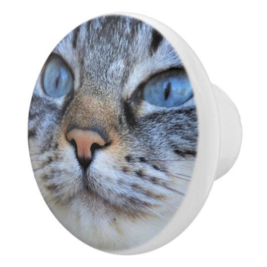 グレー猫 セラミックノブ (右)