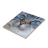 グレー猫 タイル (側面)