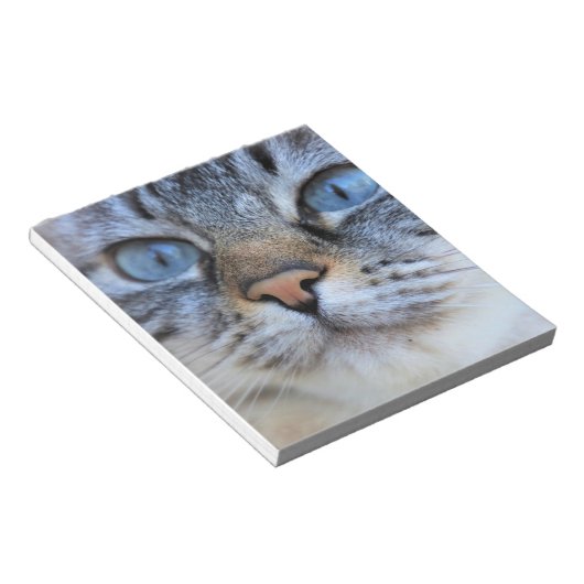 グレー猫 ノートパッド (アングル)