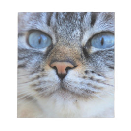 グレー猫 ノートパッド