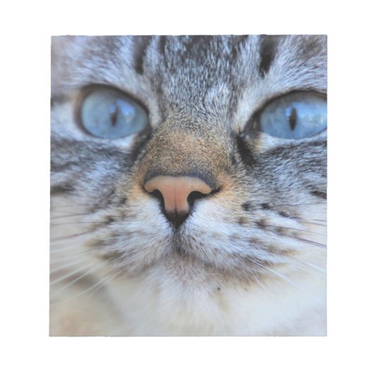 グレー猫 ノートパッド (正面)