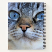 グレー猫 ノートブック (裏面)
