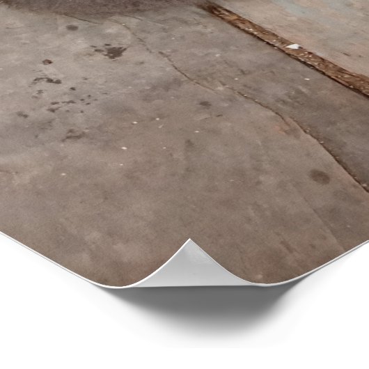 グレー猫 ポスター (角)