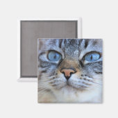 グレー猫 マグネット (正面/裏面)