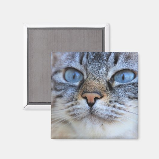 グレー猫 マグネット (正面/裏面)