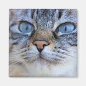 グレー猫 マグネット (正面)