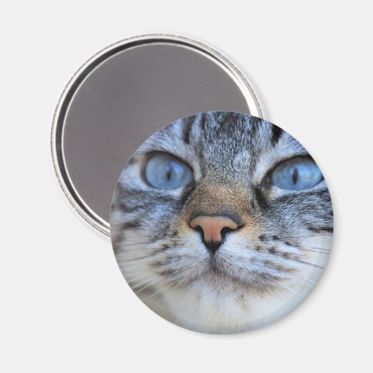 グレー猫 マグネット (正面/裏面)