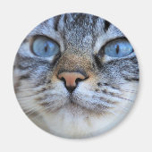 グレー猫 マグネット (正面)