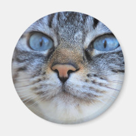 グレー猫 マグネット