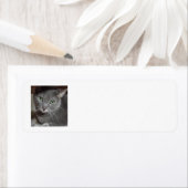 グレー猫 ラベル (インサイチュ)