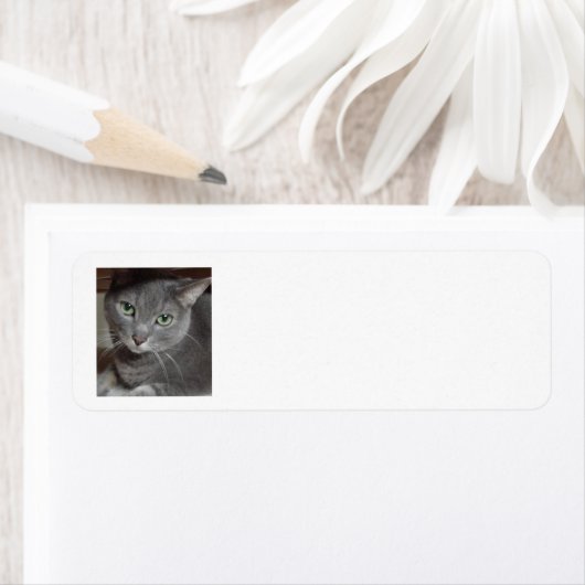 グレー猫 ラベル (インサイチュ)