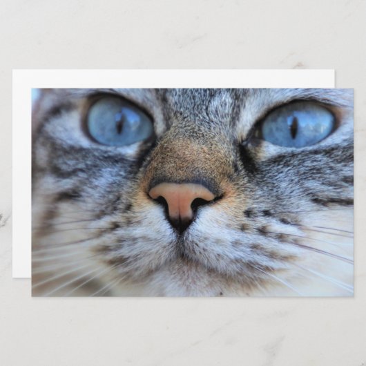 グレー猫 便箋 (正面/裏面)