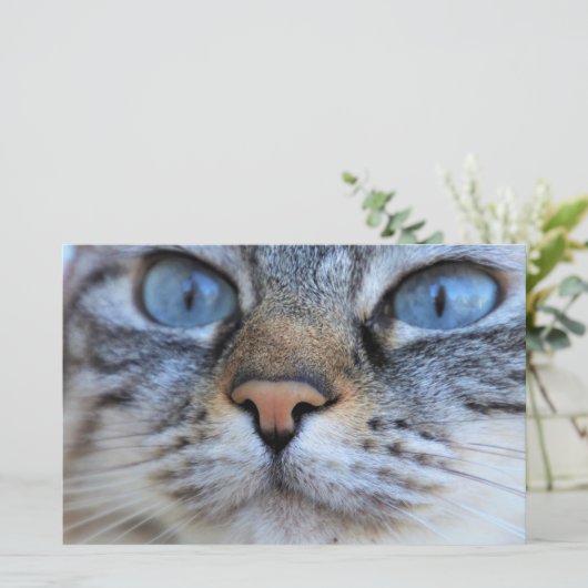 グレー猫 便箋 (スタンド正面)