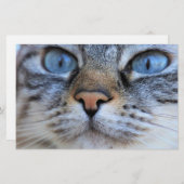 グレー猫 便箋 (正面/裏面)