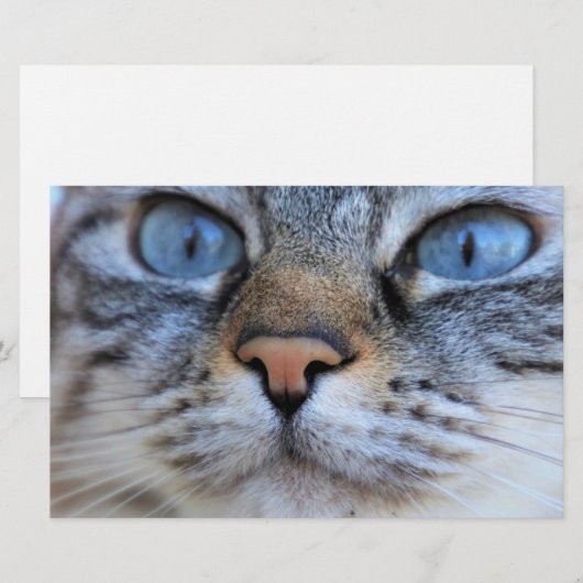 グレー猫 便箋 (正面/裏面)