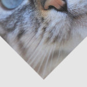 グレー猫 薄葉紙 (詳細)