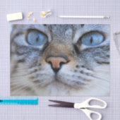 グレー猫 薄葉紙 (クラフト)