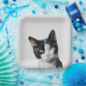 グレー白黒キティキャット ペーパープレート (パーティー)