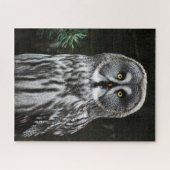 グレー素晴らしフクロウ16x20 520pc jpcna ジグソーパズル (横)