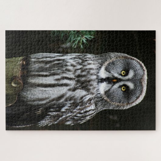 グレー素晴らしフクロウ20x30 1014pc jpcnm ジグソーパズル (横)