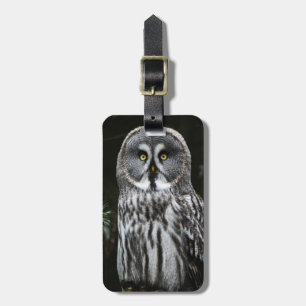 グレー素晴らしフクロウcd ltcna ラゲッジタグ