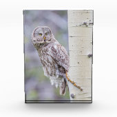 グレー素晴らし《植物》アスペンツリーブランチ フォトブロック (正面)