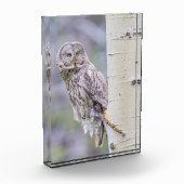 グレー素晴らし《植物》アスペンツリーブランチ フォトブロック (左)