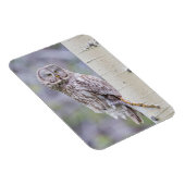 グレー素晴らし《植物》アスペンツリーブランチ マグネット (右側)