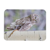 グレー素晴らし《植物》アスペンツリーブランチ マグネット (横)