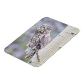 グレー素晴らし《植物》アスペンツリーブランチ マグネット (左側)