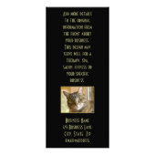 グレー虎猫クローズアップ写真 ラックカード (裏面)