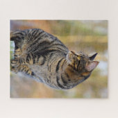 グレー虎猫ジグソーパズル ジグソーパズル (横)