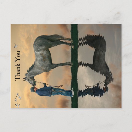 グレー馬とグルーミングOTTBはがき ポストカード (正面)