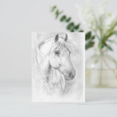 グレー馬のポートハガキ ポストカード (スタンド正面)