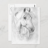 グレー馬のポートハガキ ポストカード (正面/裏面)