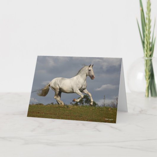 グレー・アンダルシアン・スタランニングリオン・アザ・スカイ カード (正面)