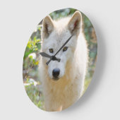 グレー・ウルフ、カナダ動物写真 ラージ壁時計 (傾斜)