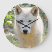 グレー・ウルフ、カナダ動物写真 ラージ壁時計 (正面)