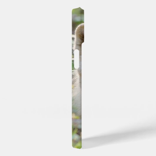 グレー・ウルフ、カナダ野生動物写真 Case-Mate iPhoneケース (裏面 / 右)